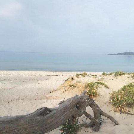 알게로 Casa Al Mare Con Giardino 빌라 외부 사진