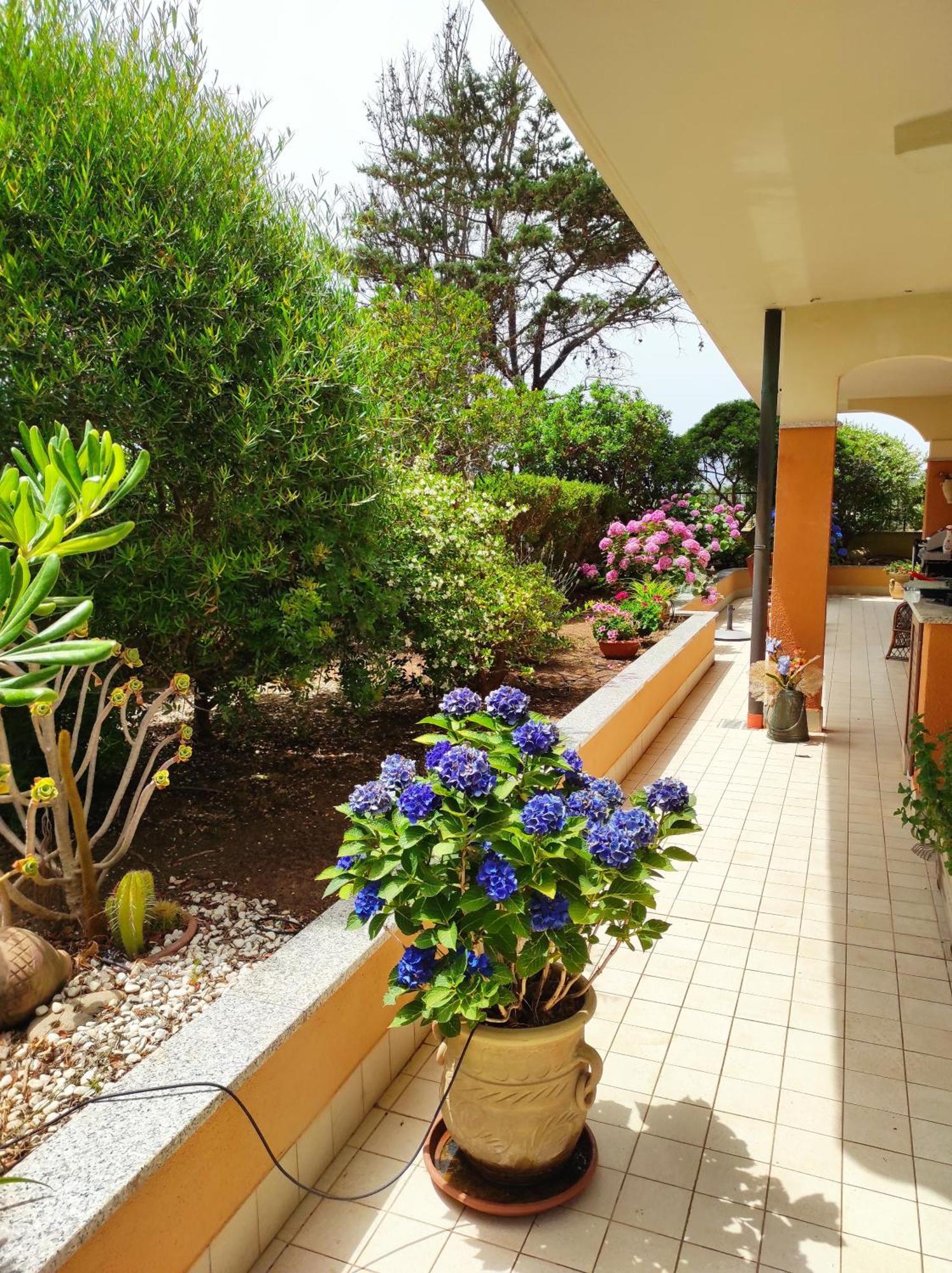 알게로 Casa Al Mare Con Giardino 빌라 외부 사진