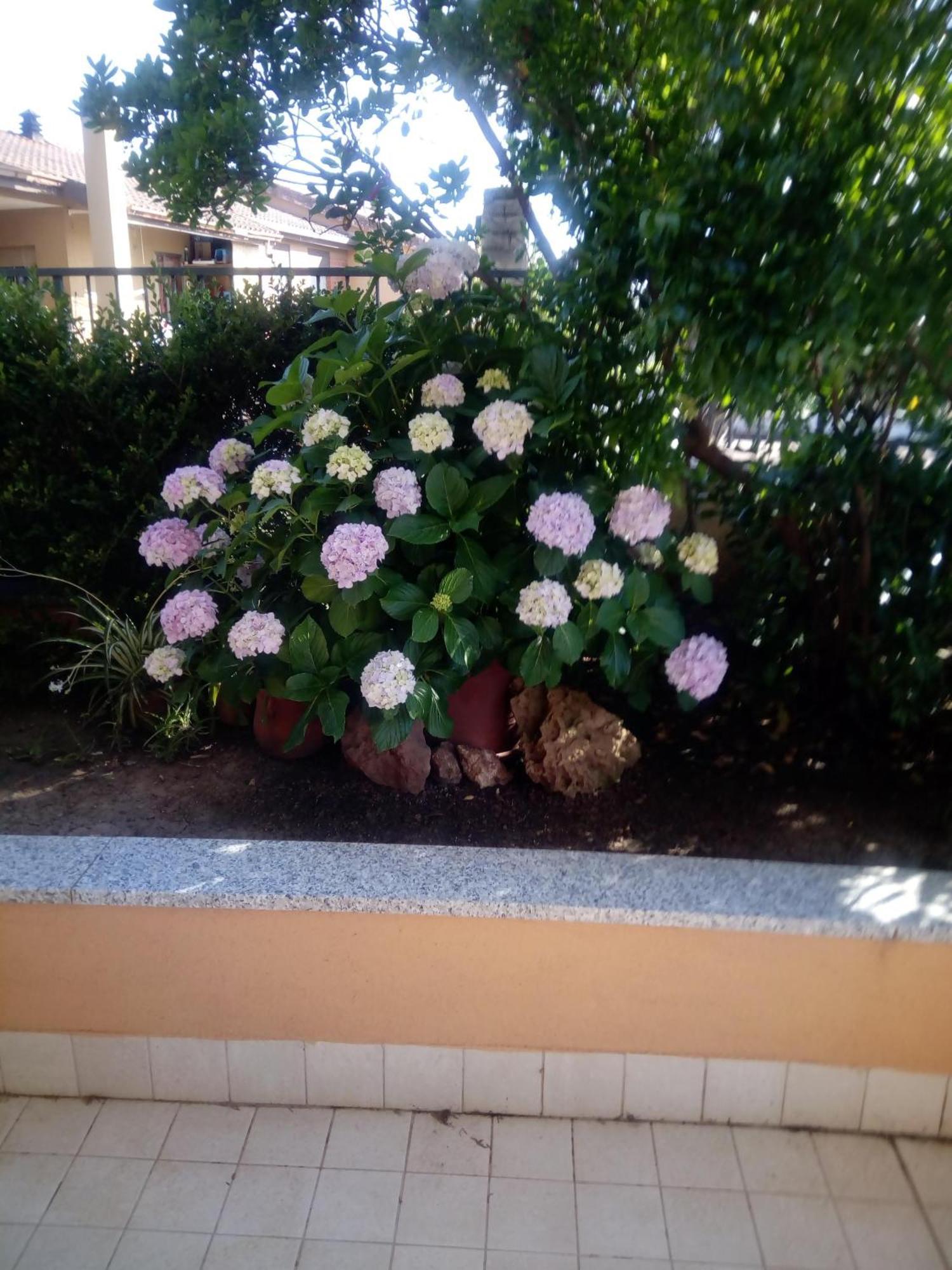 알게로 Casa Al Mare Con Giardino 빌라 외부 사진